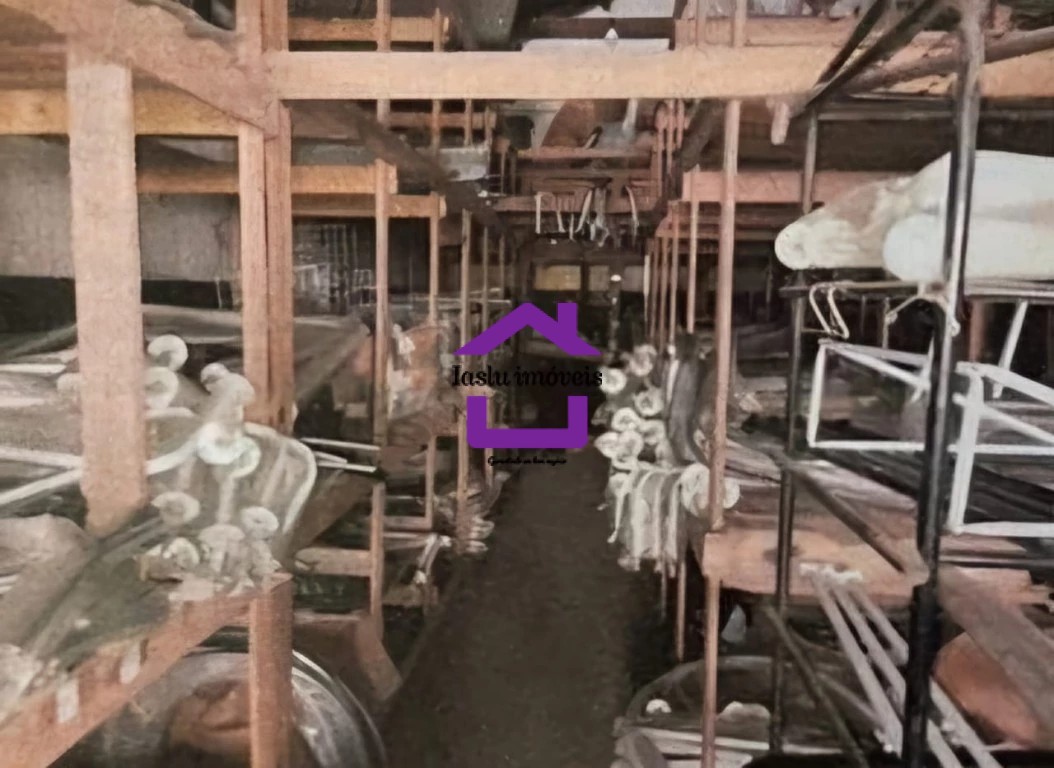 Depósito-Galpão, 300 m² - Foto 4