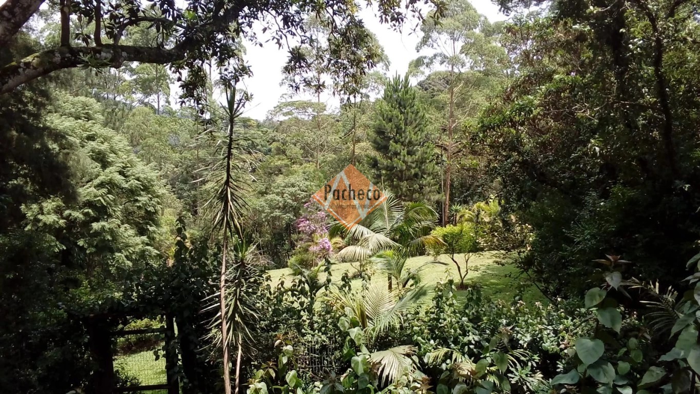 Chácara, 5 quartos, 4200 m² - Foto 14