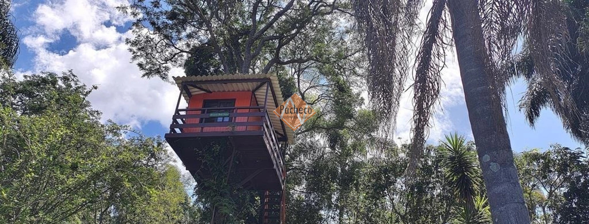 Chácara, 6 quartos, 3 hectares - Foto 8