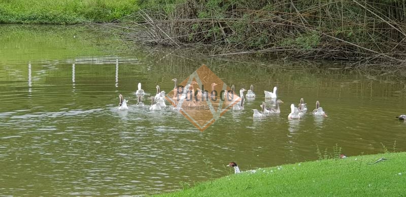 Fazenda à venda com 25 quartos - Foto 27