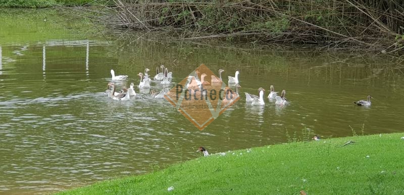 Fazenda à venda com 25 quartos - Foto 28