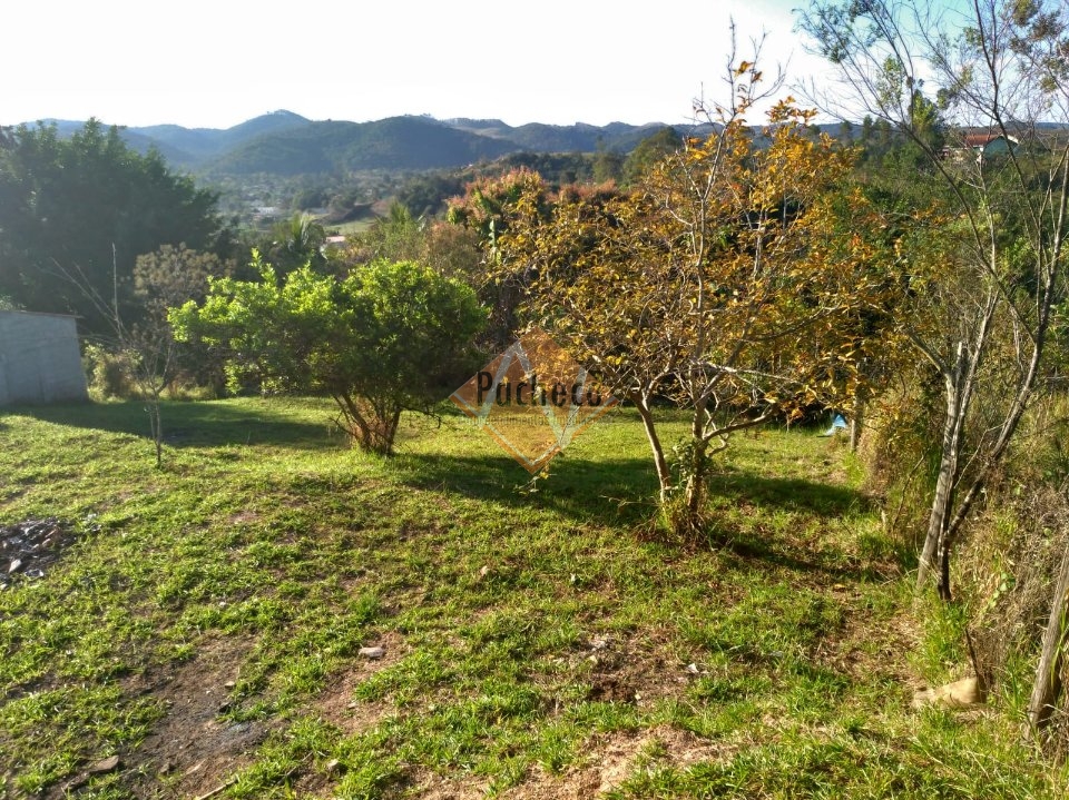 Fazenda à venda com 2 quartos, 90m² - Foto 12