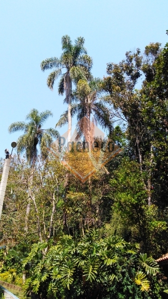 Loteamento e Condomínio à venda, 12400m² - Foto 36