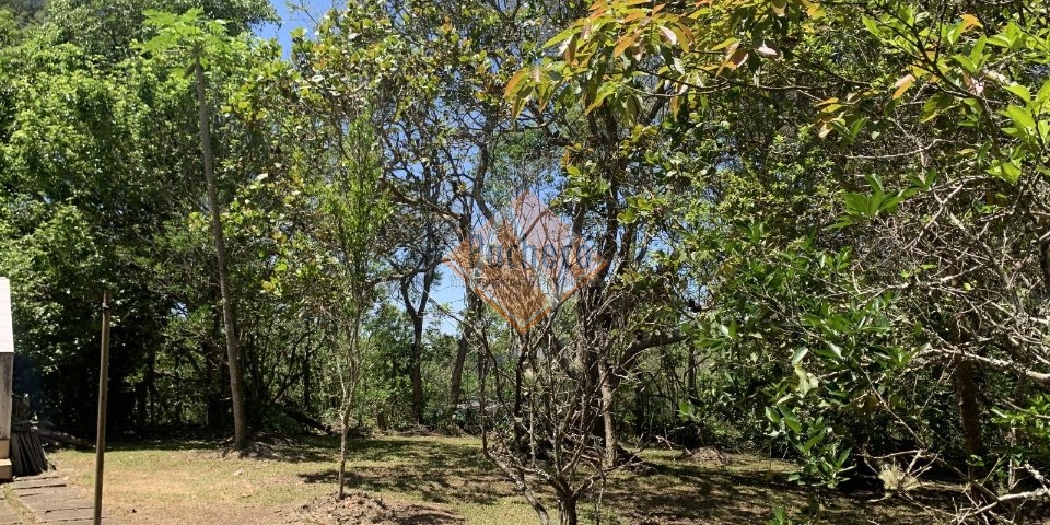 Chácara, 3 quartos - Foto 11