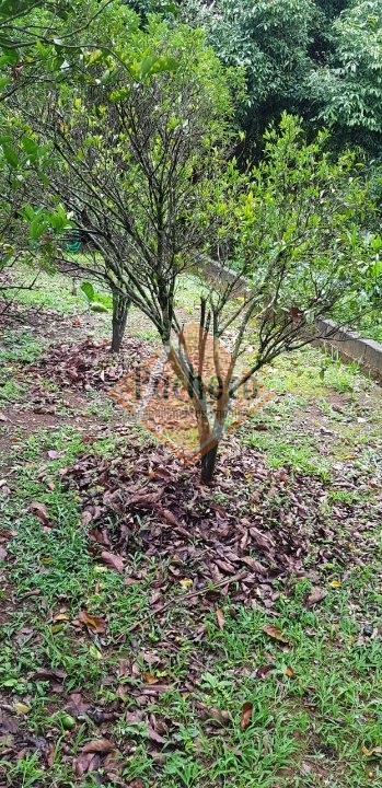 Fazenda à venda com 2 quartos, 100m² - Foto 12