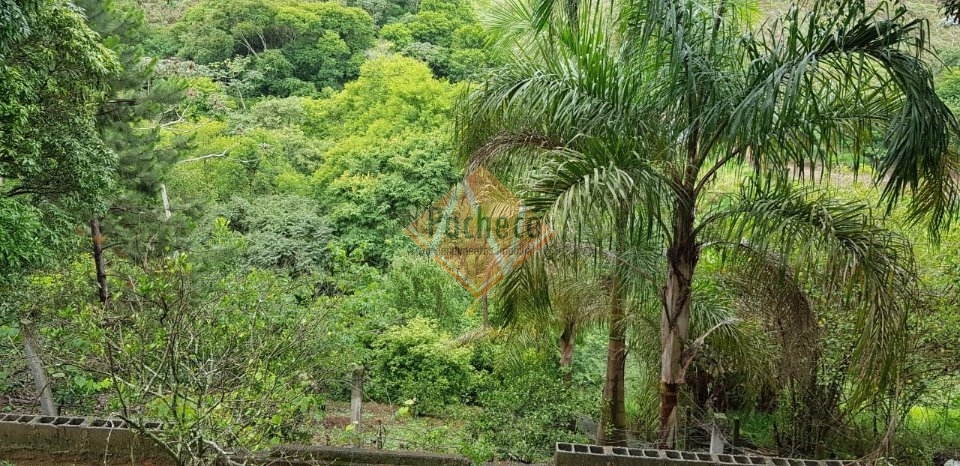 Fazenda à venda com 2 quartos, 100m² - Foto 11