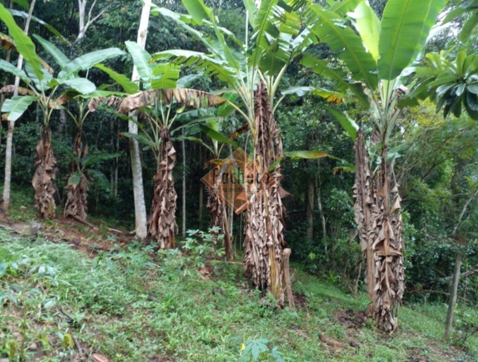 Fazenda à venda com 2 quartos, 120m² - Foto 10