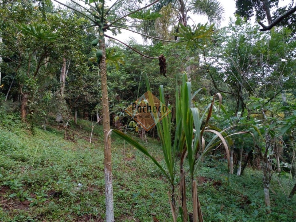 Fazenda à venda com 2 quartos, 120m² - Foto 12