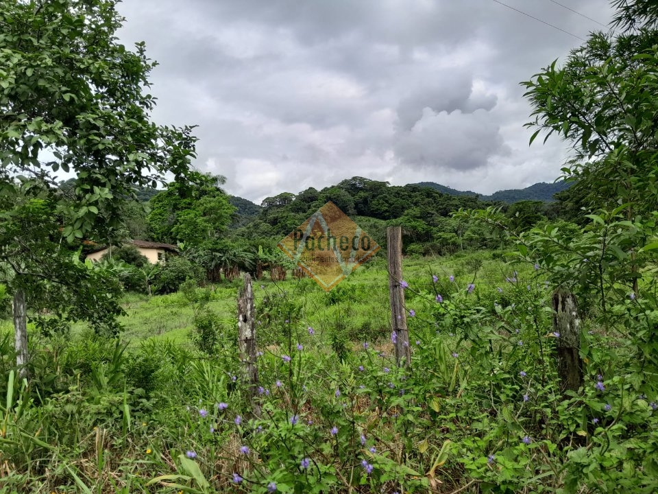 Fazenda à venda com 5 quartos - Foto 23