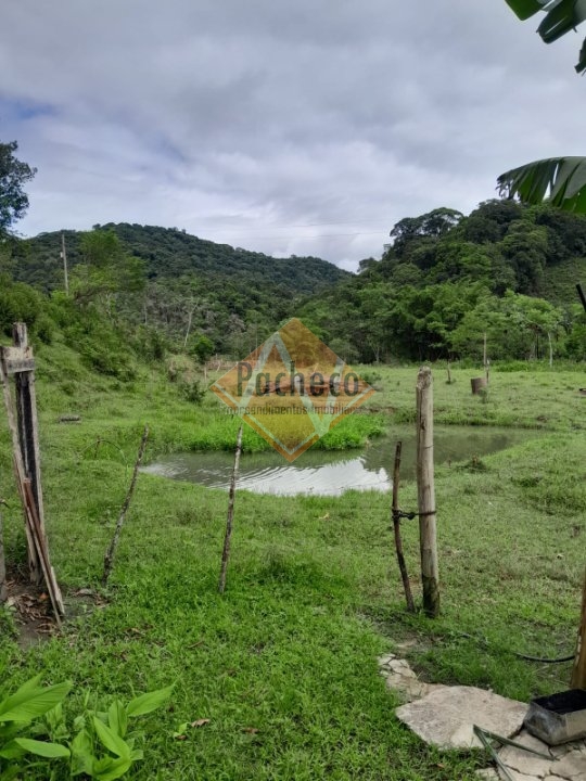 Fazenda à venda com 5 quartos - Foto 24