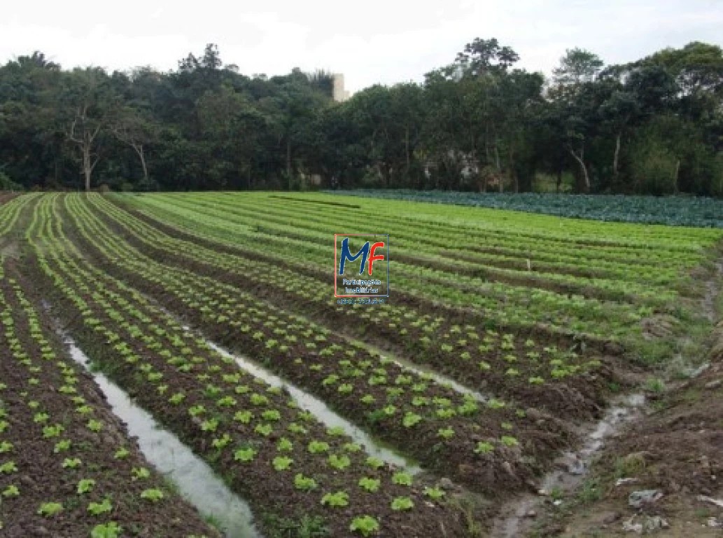 Terreno à venda, 26000m² - Foto 1