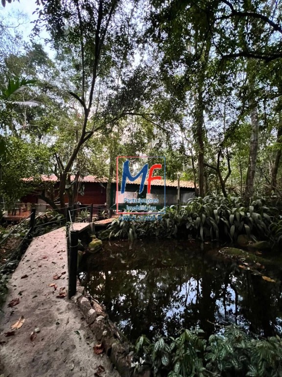 Terreno, 360 m² - Foto 22