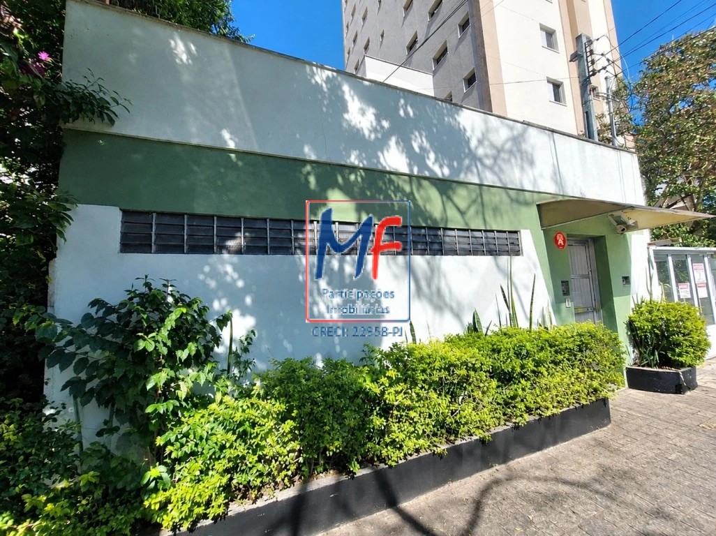 Loja-Salão, 351 m² - Foto 3