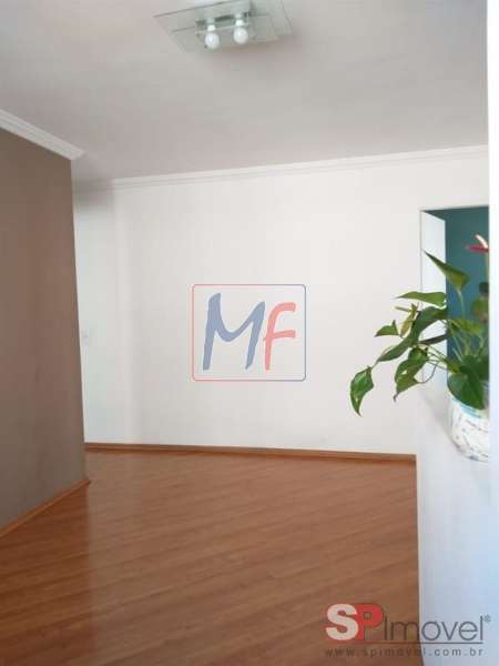 Apartamento, 3 quartos, 59 m² - Foto 24