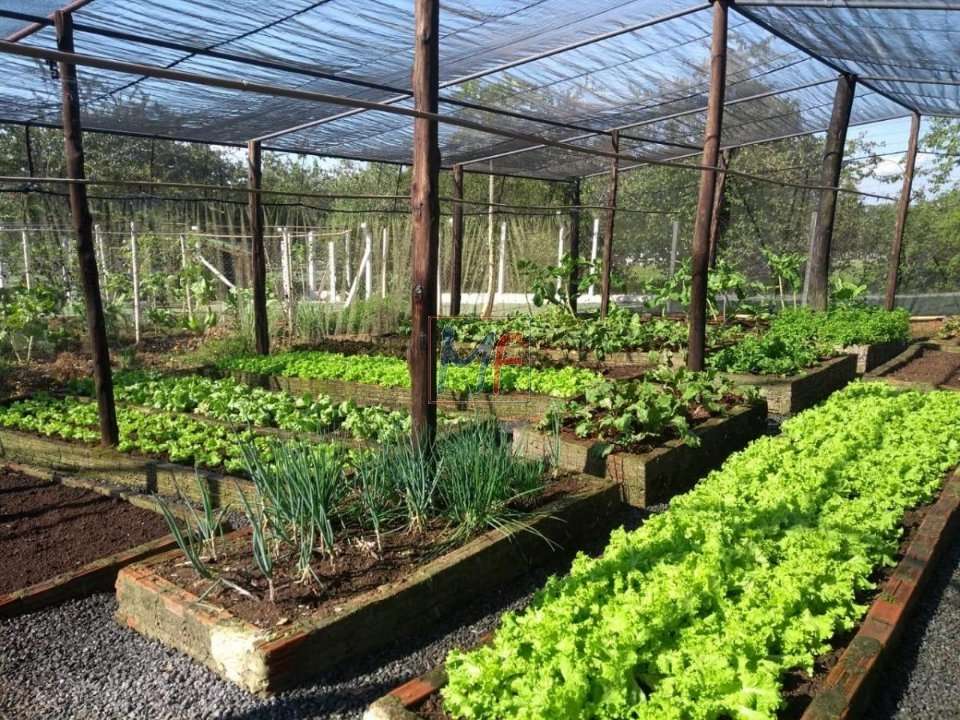 Sítio, 12 quartos, 2000 m² - Foto 2