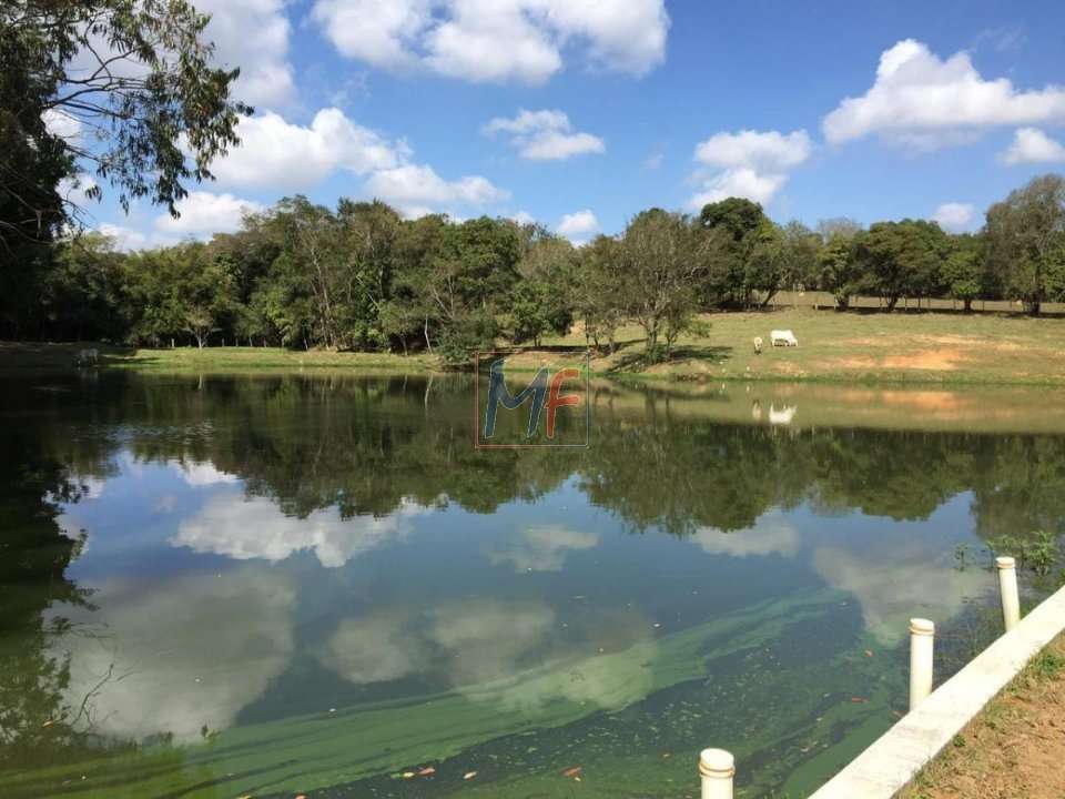 Sítio, 12 quartos, 2000 m² - Foto 6