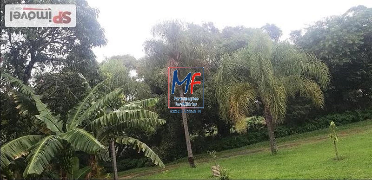 Terreno, 8000 m² - Foto 3