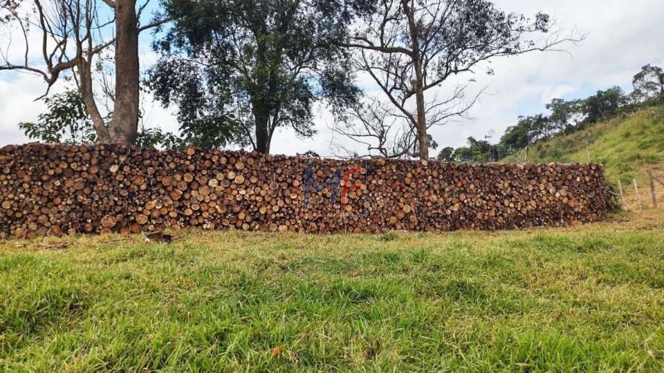 Sítio à venda com 7 quartos, 1000m² - Foto 4