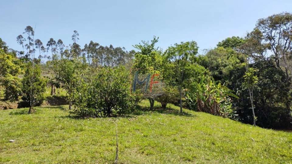 Sítio à venda com 7 quartos, 1000m² - Foto 13