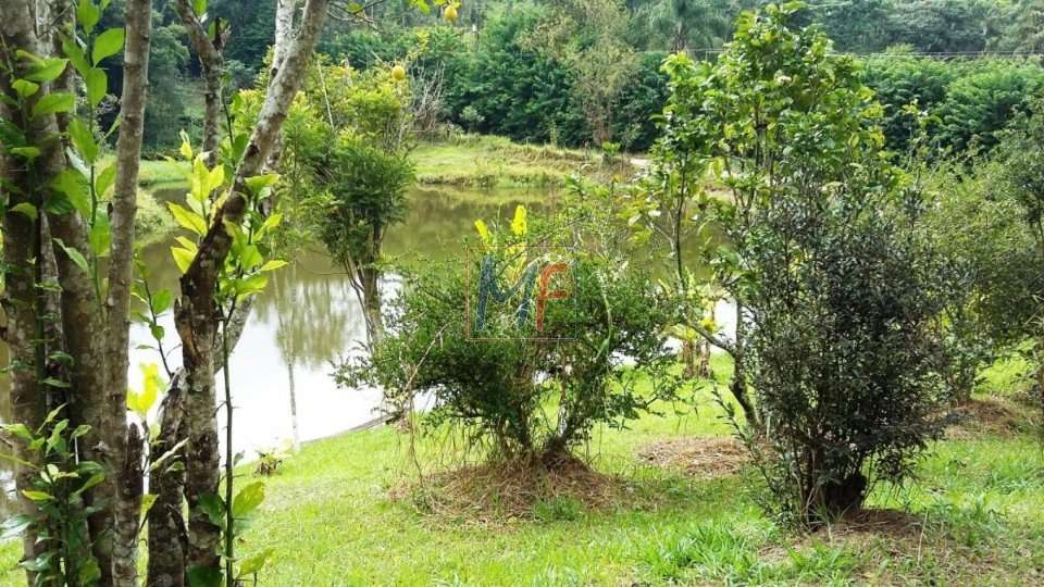 Sítio à venda com 7 quartos, 1000m² - Foto 14