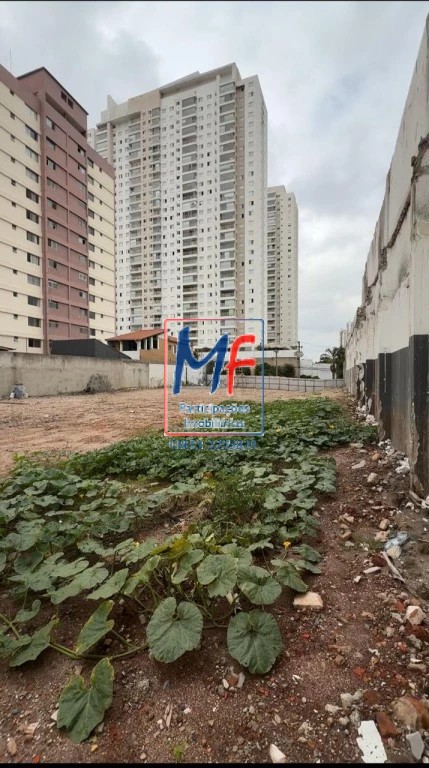 Terreno, 1577 m² - Foto 2
