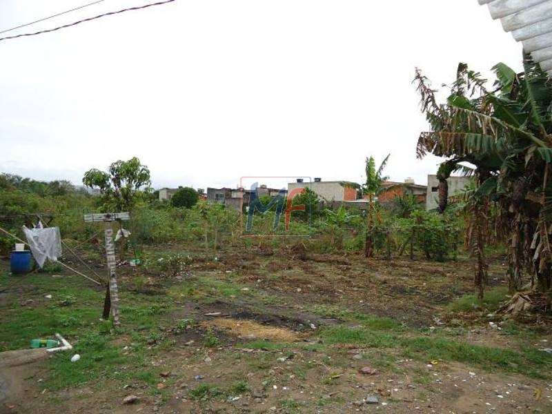 Terreno à venda e aluguel, 6000m² - Foto 3