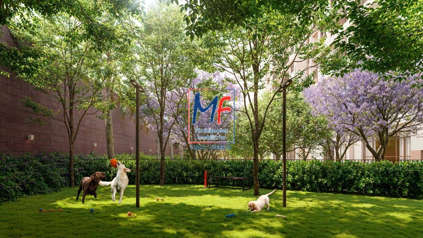 Apartamento, 3 quartos, 76 m² - Foto 16