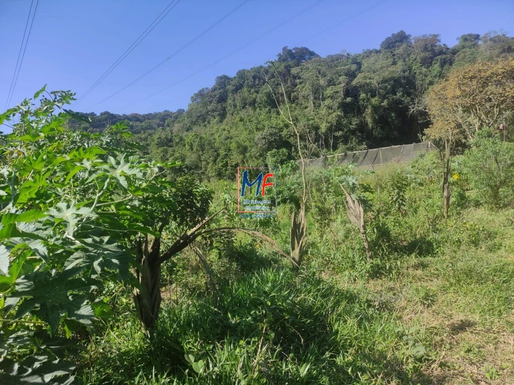 Terreno, 20000 m² - Foto 4
