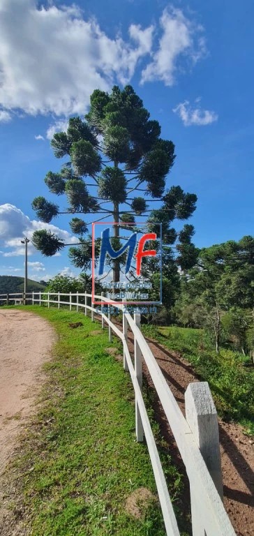 Terreno, 40000 m² - Foto 17