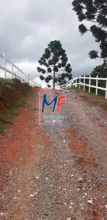Terreno, 40000 m² - Foto 27