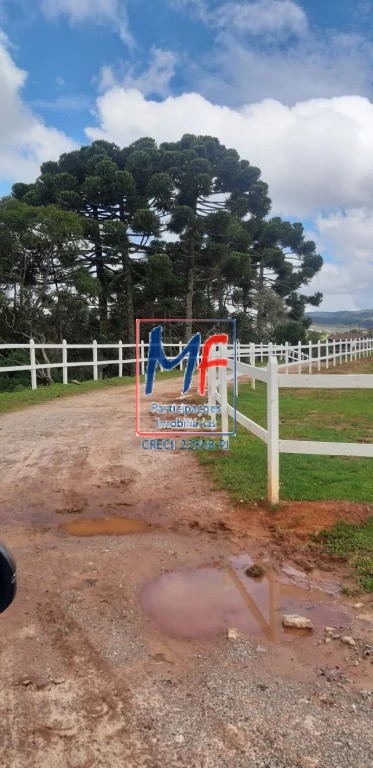 Terreno, 40000 m² - Foto 38