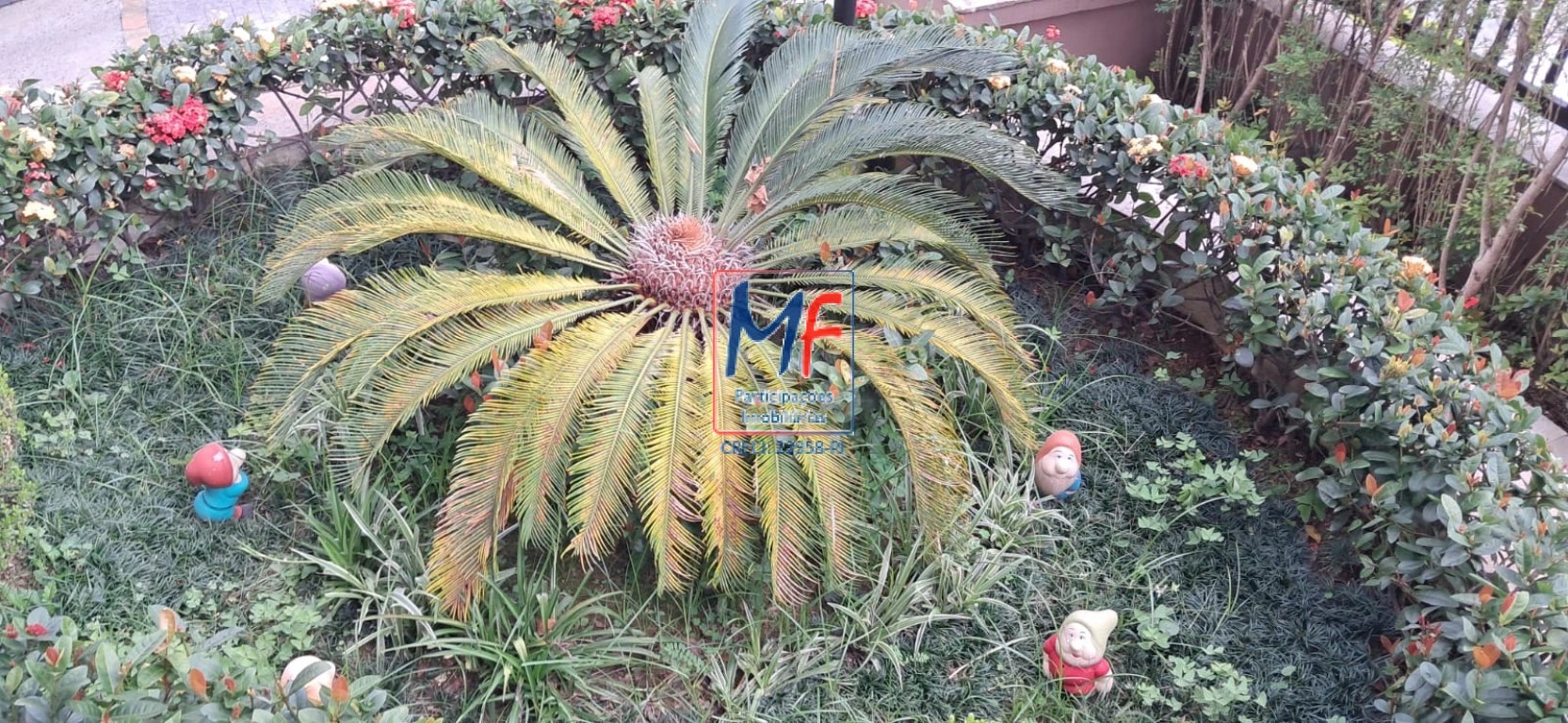 Apartamento à venda com 3 quartos, 60m² - Foto 19