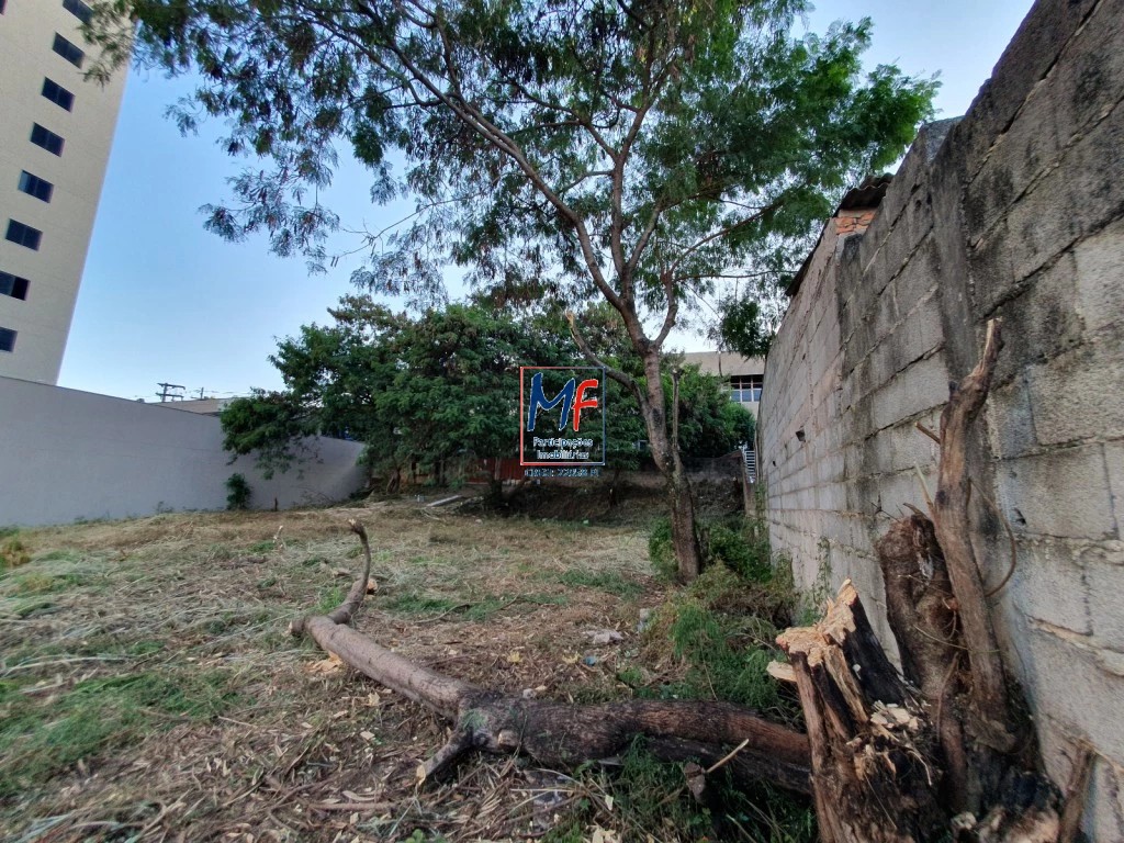 Terreno à venda e aluguel, 2000m² - Foto 3