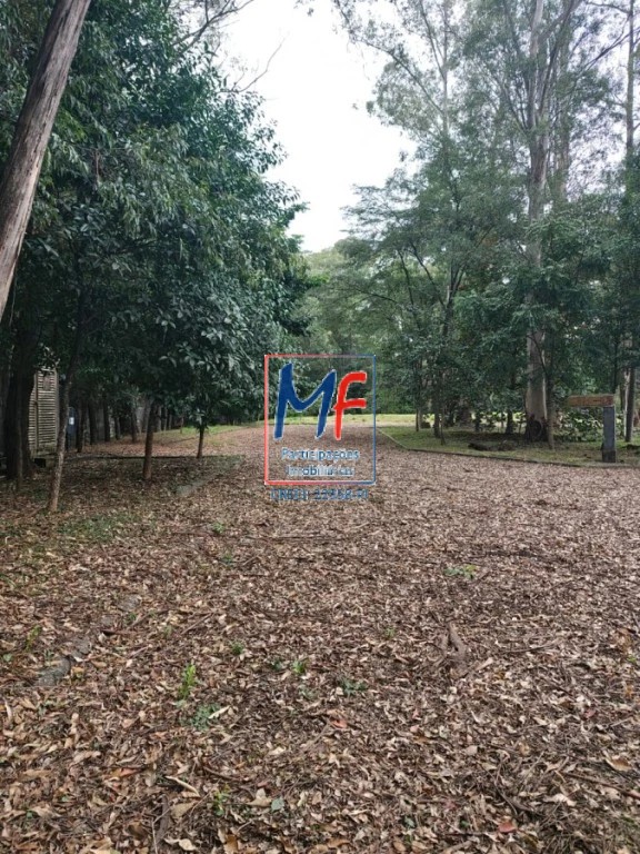 Depósito-Galpão, 3400 m² - Foto 2