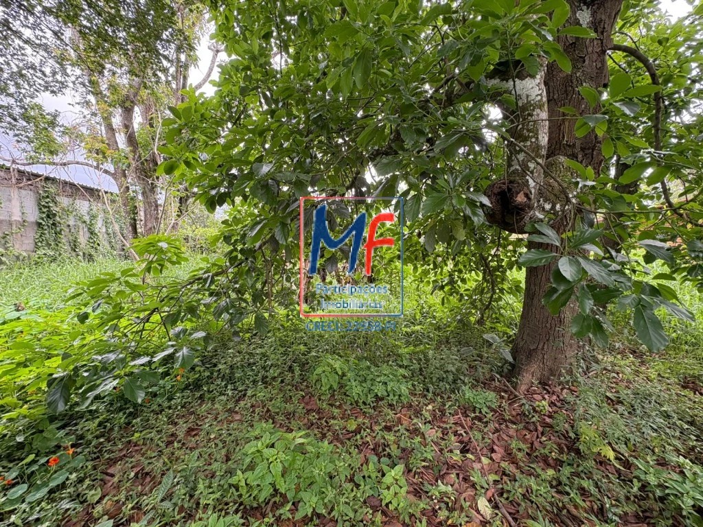 Terreno, 1775 m² - Foto 8