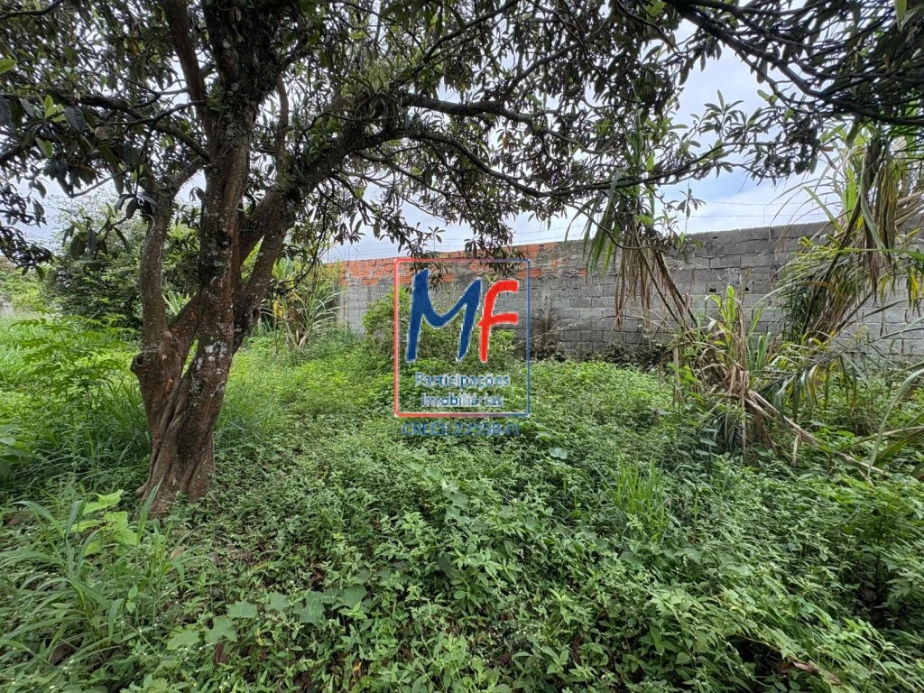 Terreno, 1775 m² - Foto 18