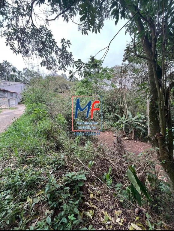 Terreno, 804 m² - Foto 3