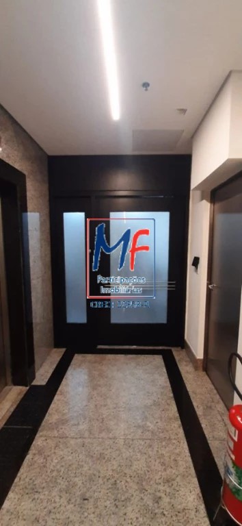 Loja-Salão, 244 m² - Foto 4
