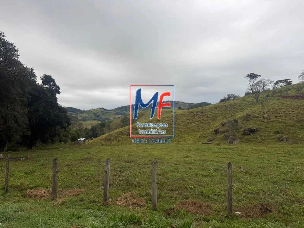 Fazenda, 53 hectares - Foto 4