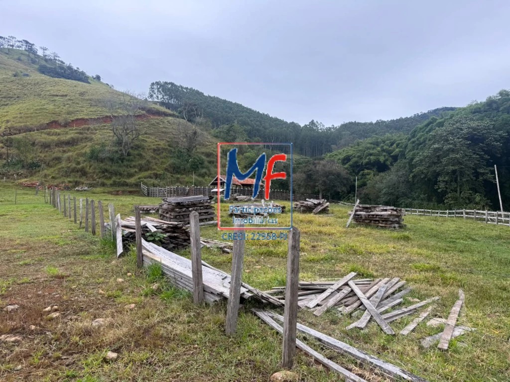 Fazenda, 53 hectares - Foto 6