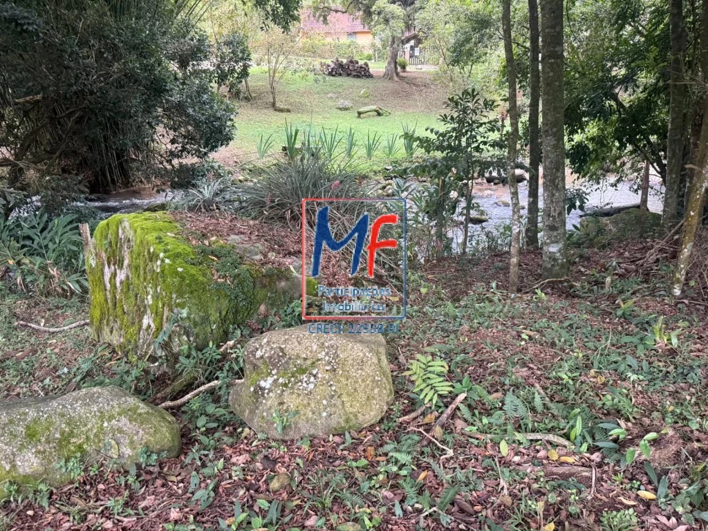 Fazenda, 53 hectares - Foto 7