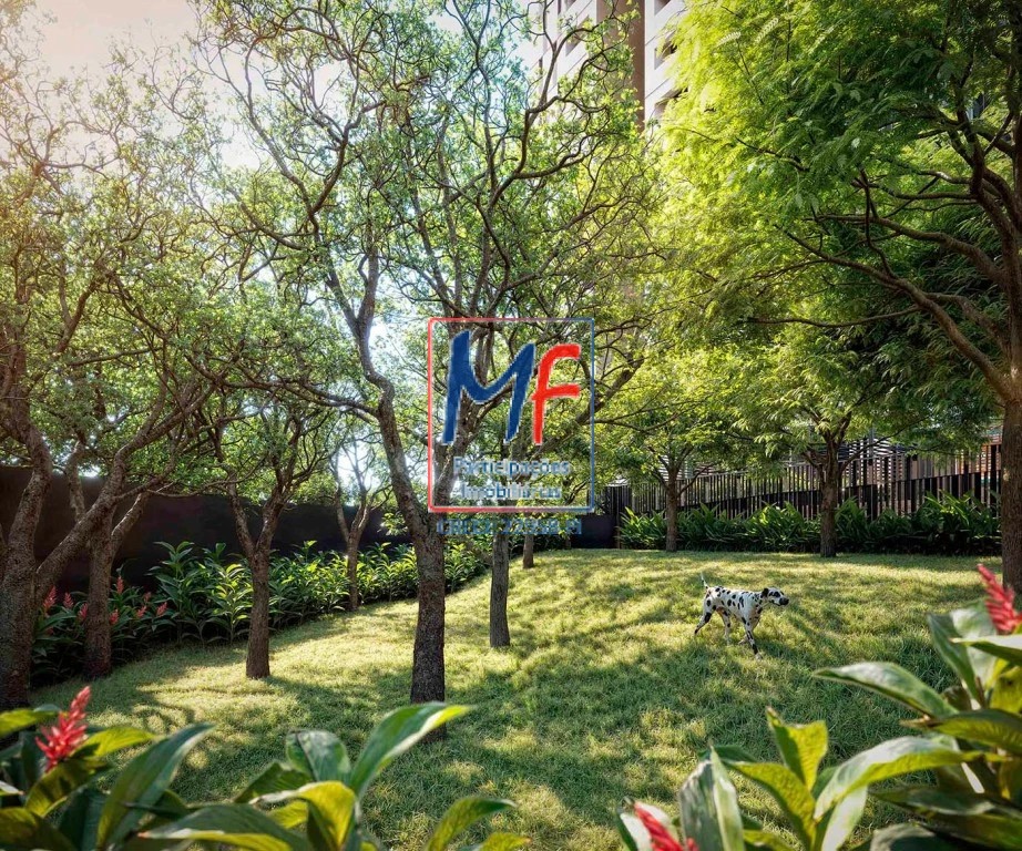 Apartamento, 4 quartos, 210 m² - Foto 11