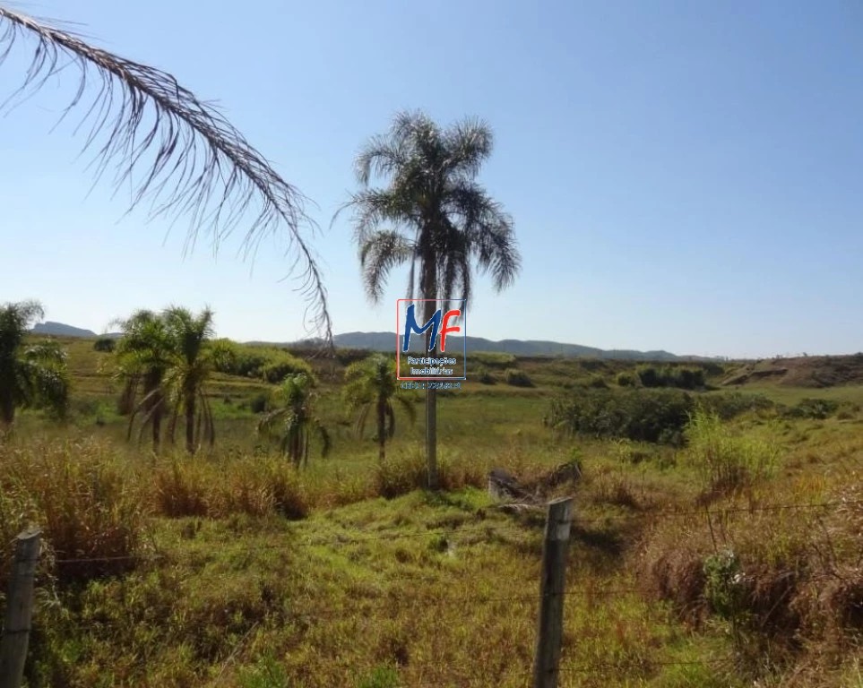 Terreno, 12000 m² - Foto 1