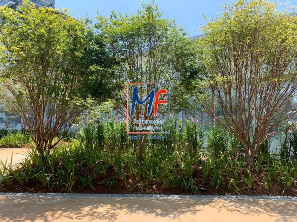 Loja-Salão, 46 m² - Foto 3