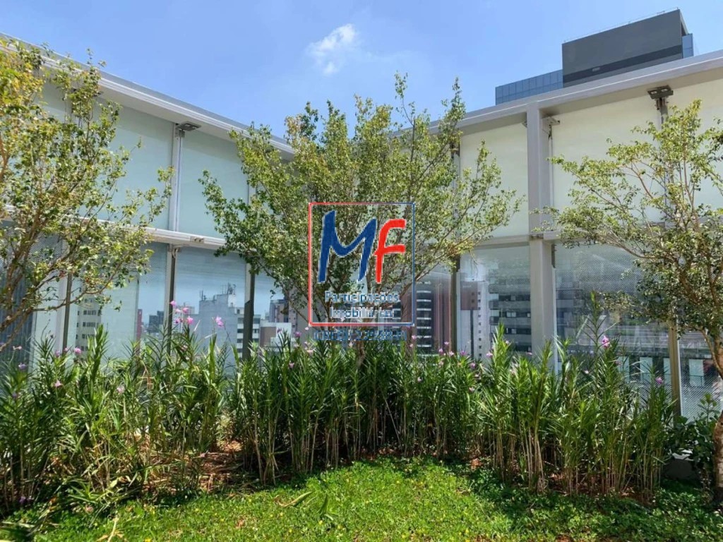 Loja-Salão, 46 m² - Foto 4