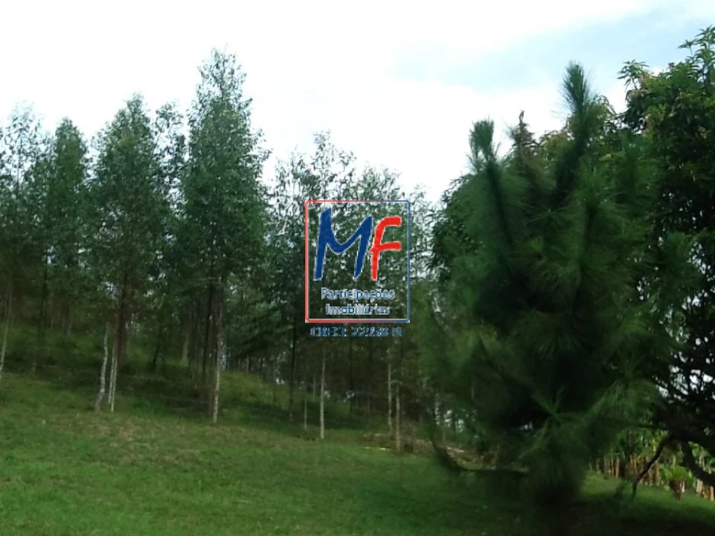Sítio à venda com 7 quartos, 1000m² - Foto 11