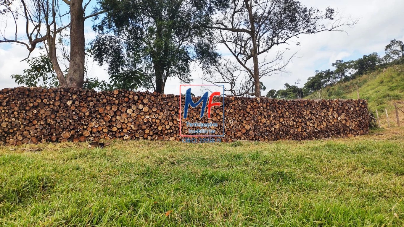 Sítio à venda com 7 quartos, 1000m² - Foto 12