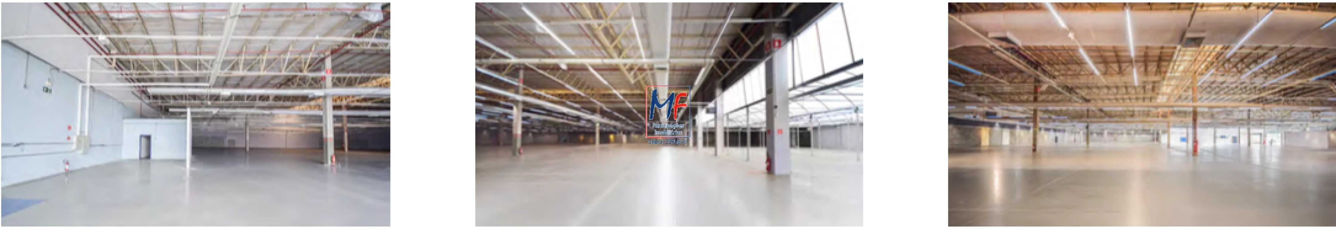 Depósito-Galpão, 13657 m² - Foto 5