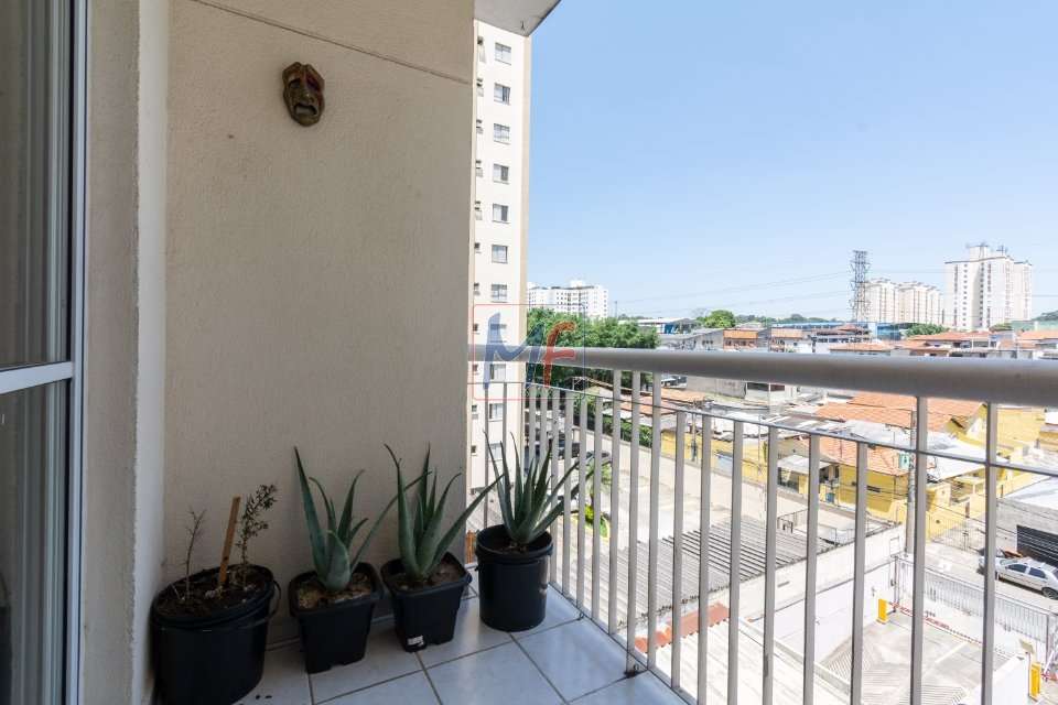 Apartamento à venda com 3 quartos, 54m² - Foto 6