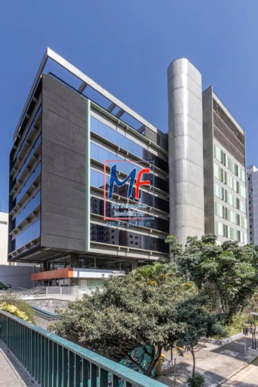 Loja-Salão, 779 m² - Foto 1